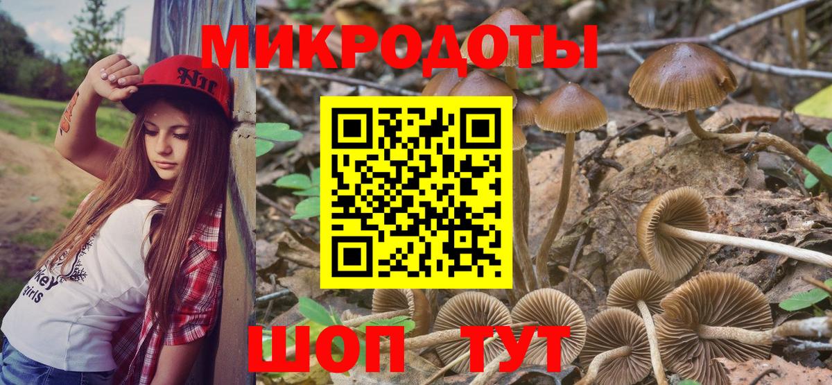 Барнаул  Псилоцибиновые грибы Cubensis  Вход с VPN 
